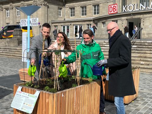 Ausstellung Regen retten - Stadt begrünen der Verbraucherzentrale NRW