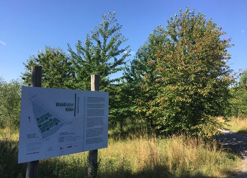 Führung durch das Waldlabor